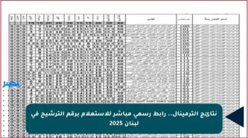 نتائج الترمينال.. رابط رسمي مباشر للاستعلام برقم الترشيح في لبنان 2025